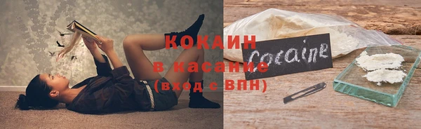 прущие крисы Богданович