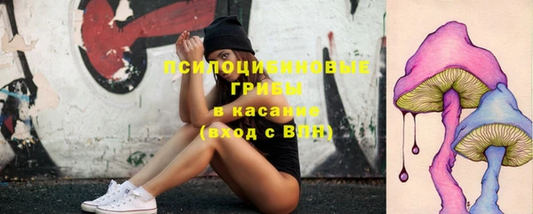 прущие крисы Богданович