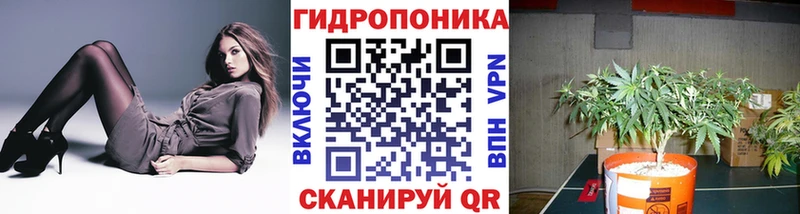 Бошки Шишки ГИДРОПОН  Когалым 